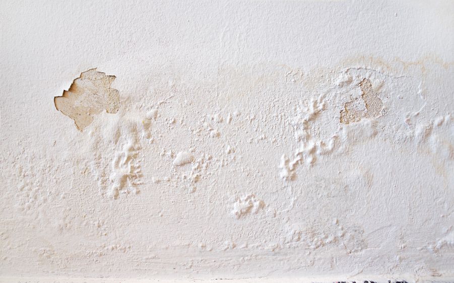 Why Does Drywall Mud Bubble